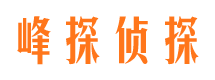 芮城市调查公司